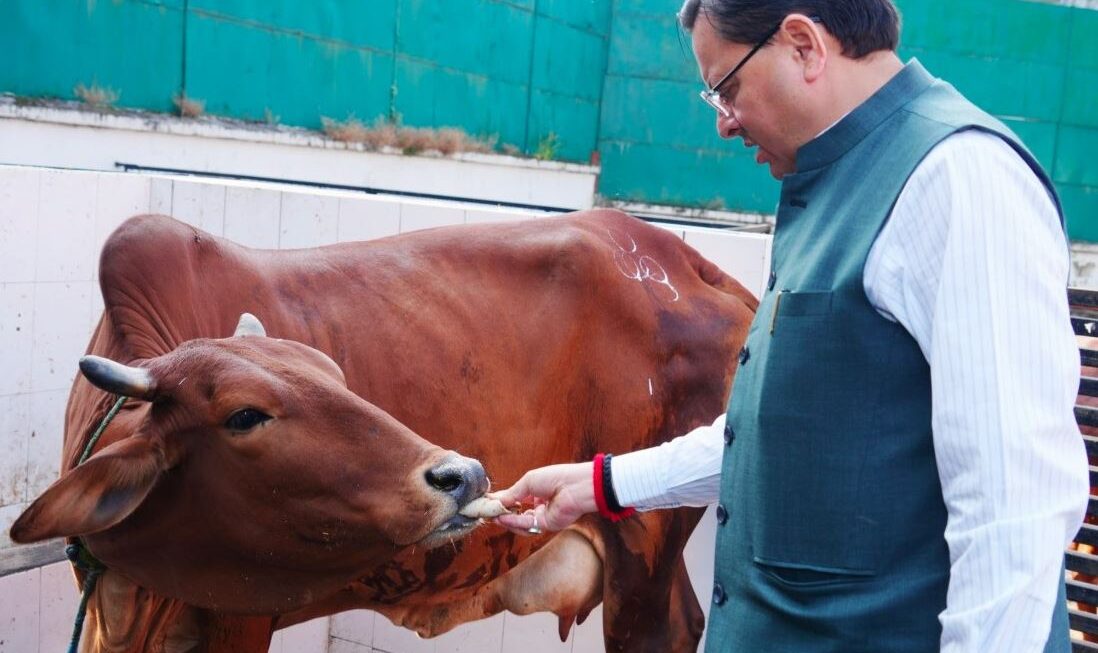 गोवर्धन पूजा पर मुख्यमंत्री धामी ने गौ माता का पूजन किया, पर्यावरण संरक्षण का संदेश दिया।