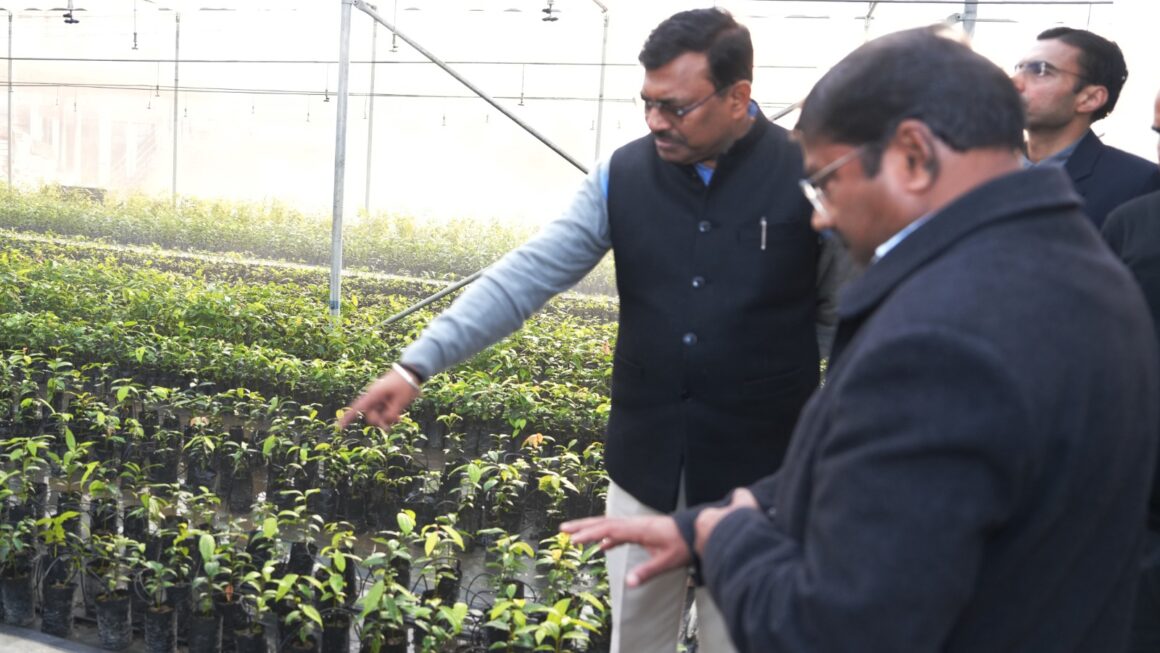 मुख्य सचिव आनन्द बर्द्धन ने सगन्ध पौधा केंद्र, सेलाकुई का दौरा कर वहां चल रहे कार्यों से अवगत हुए।